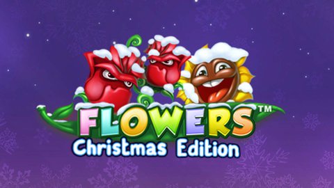 Flowers Christmas